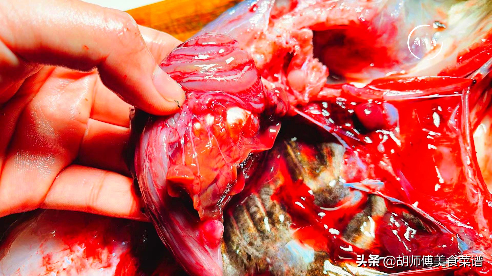 黑鱼去鱼线腥方法图解,鲈鱼去鱼线腥方法图解