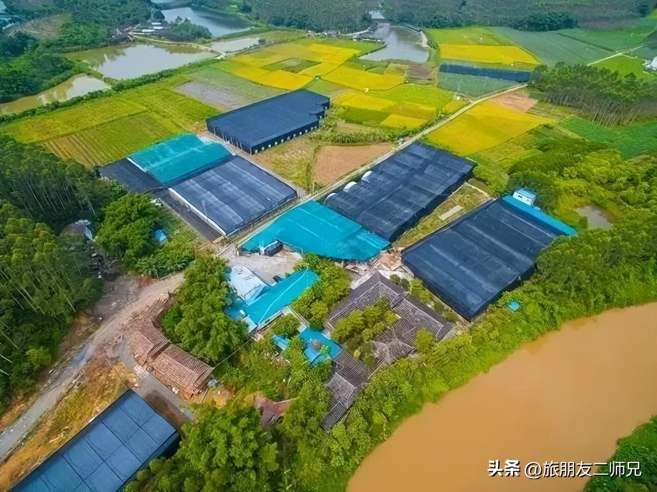 佛山江门广州旅游攻略,佛山去江门旅游攻略