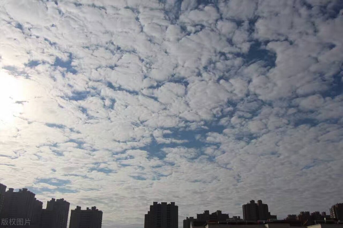 水瓶座和什么星座相似,处女座水瓶座