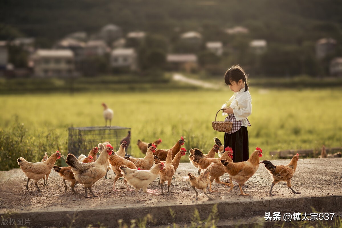 80后青春回忆录完整版,80后青春回忆