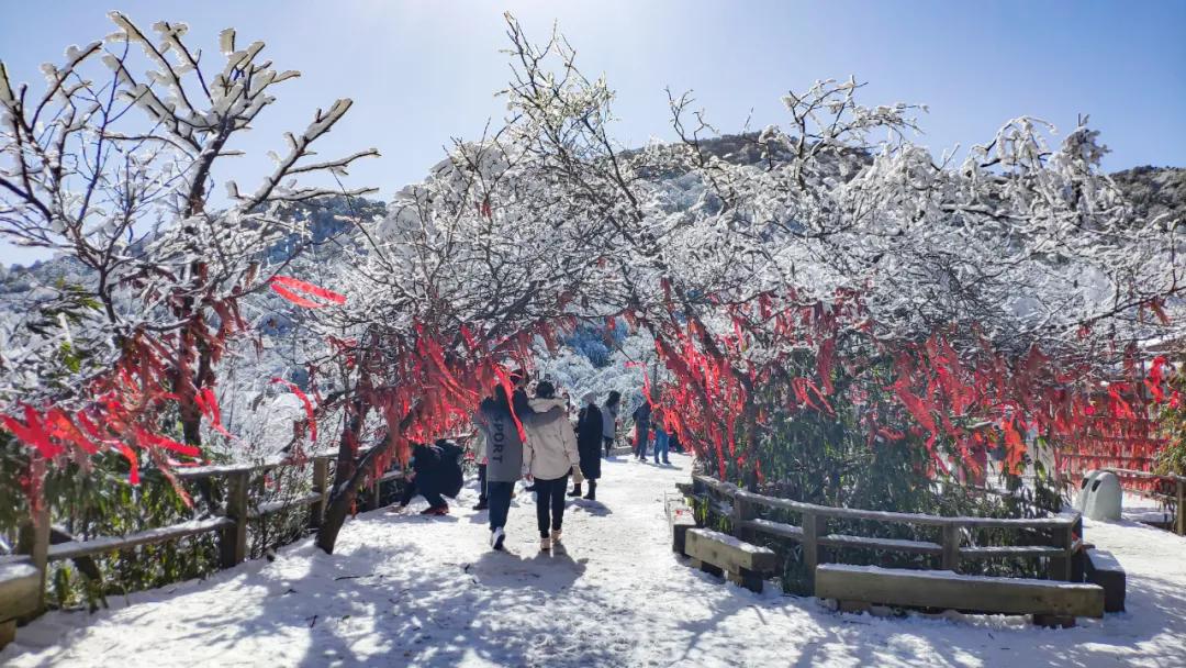 金佛山玩雪自驾攻略,去金佛山看雪怎么玩