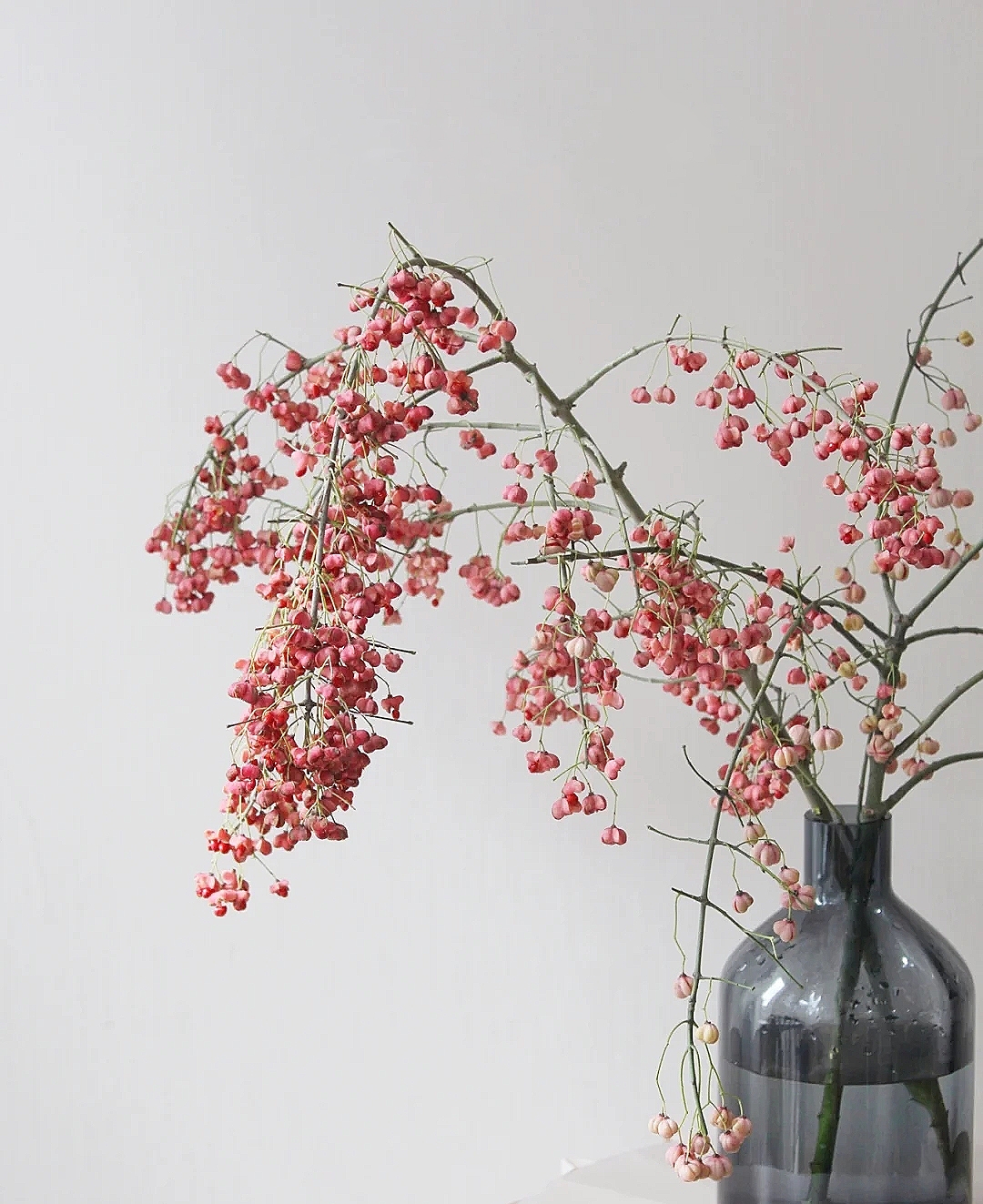 花艺教程花材打理知识,花艺教程常用花材及叶材有哪些