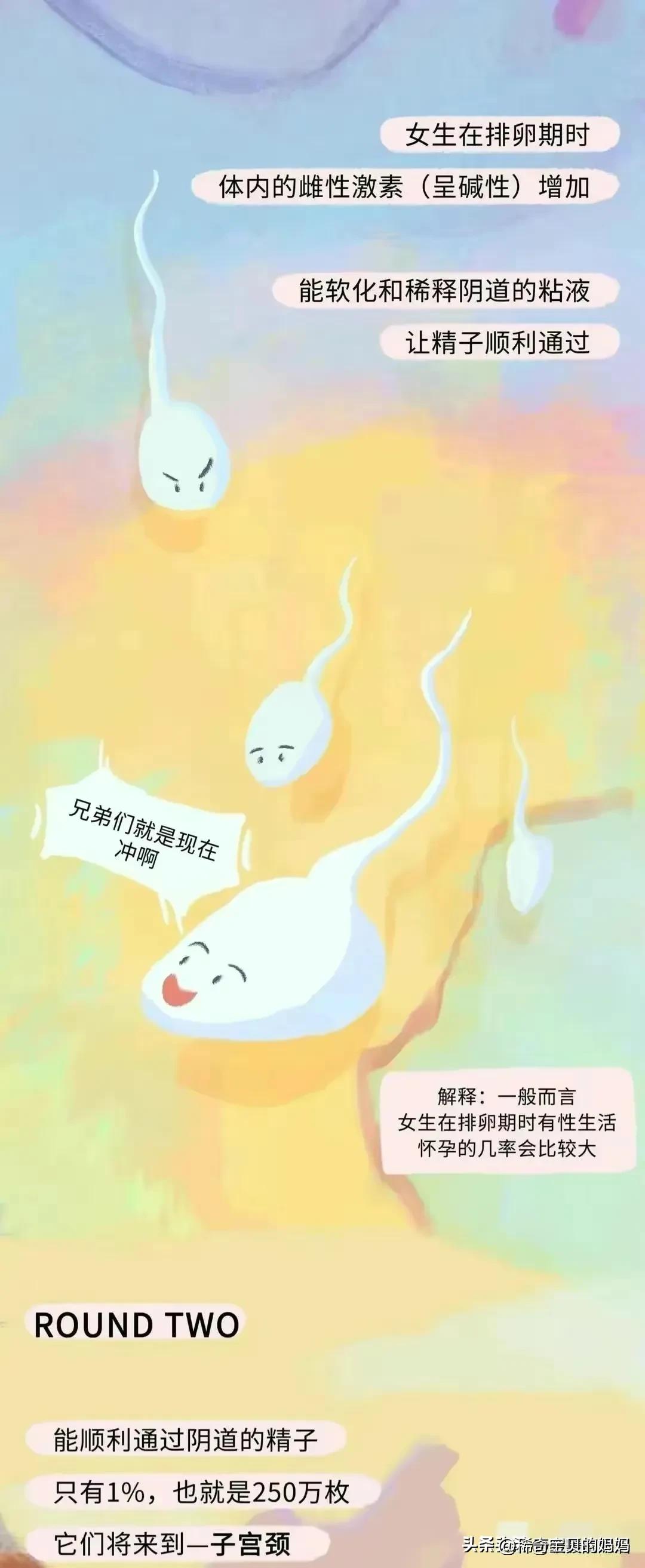 绮惧瓙杩涘叆浜轰綋12灏忔椂鍙樺寲,绮惧瓙杩涘叆浜轰綋24灏忔椂鍙樺寲