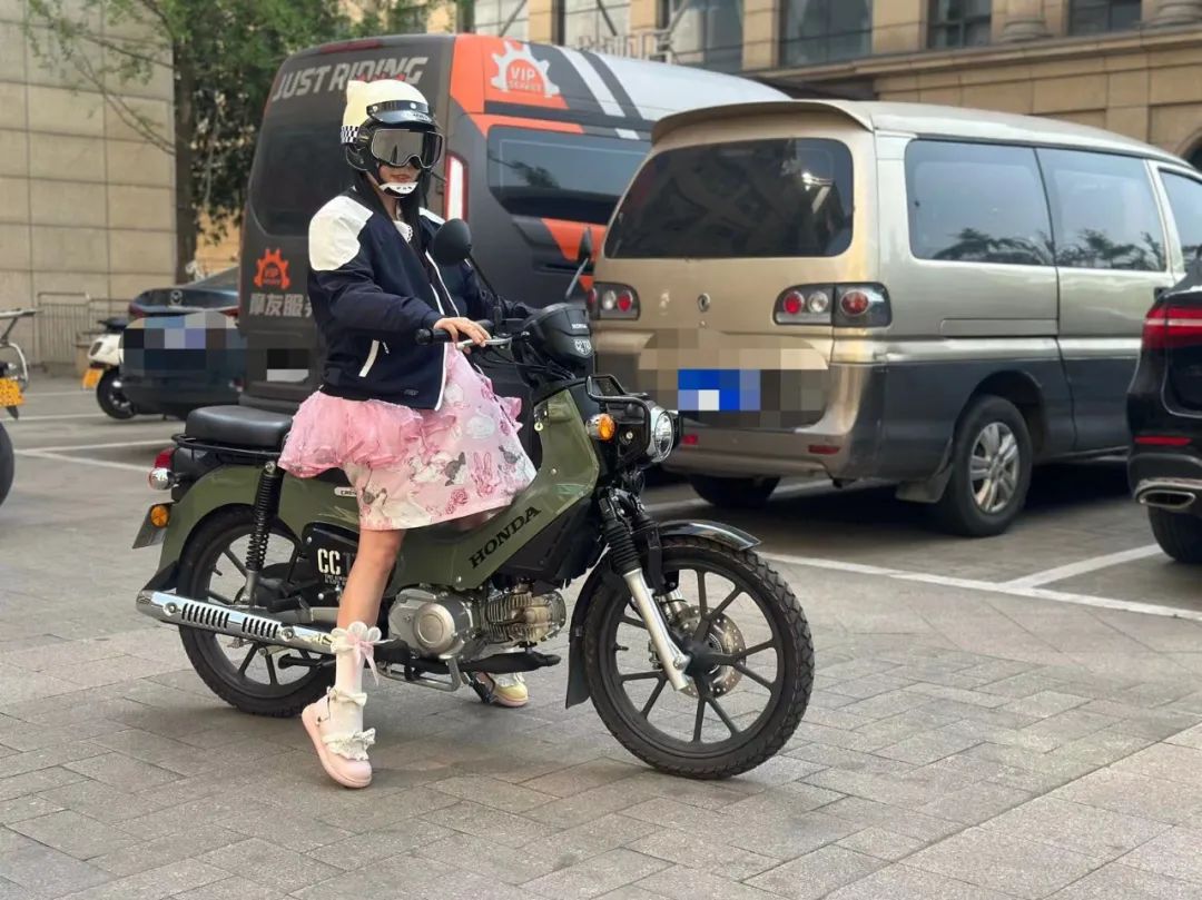 本田幼兽cc110盲盒,本田幼兽110cc