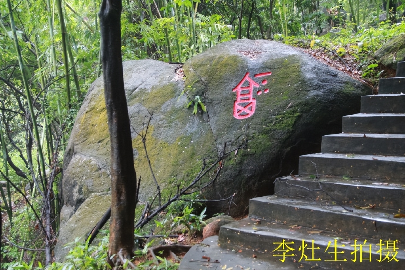 杨四将军庙简介,杨四将军庙在哪个位置