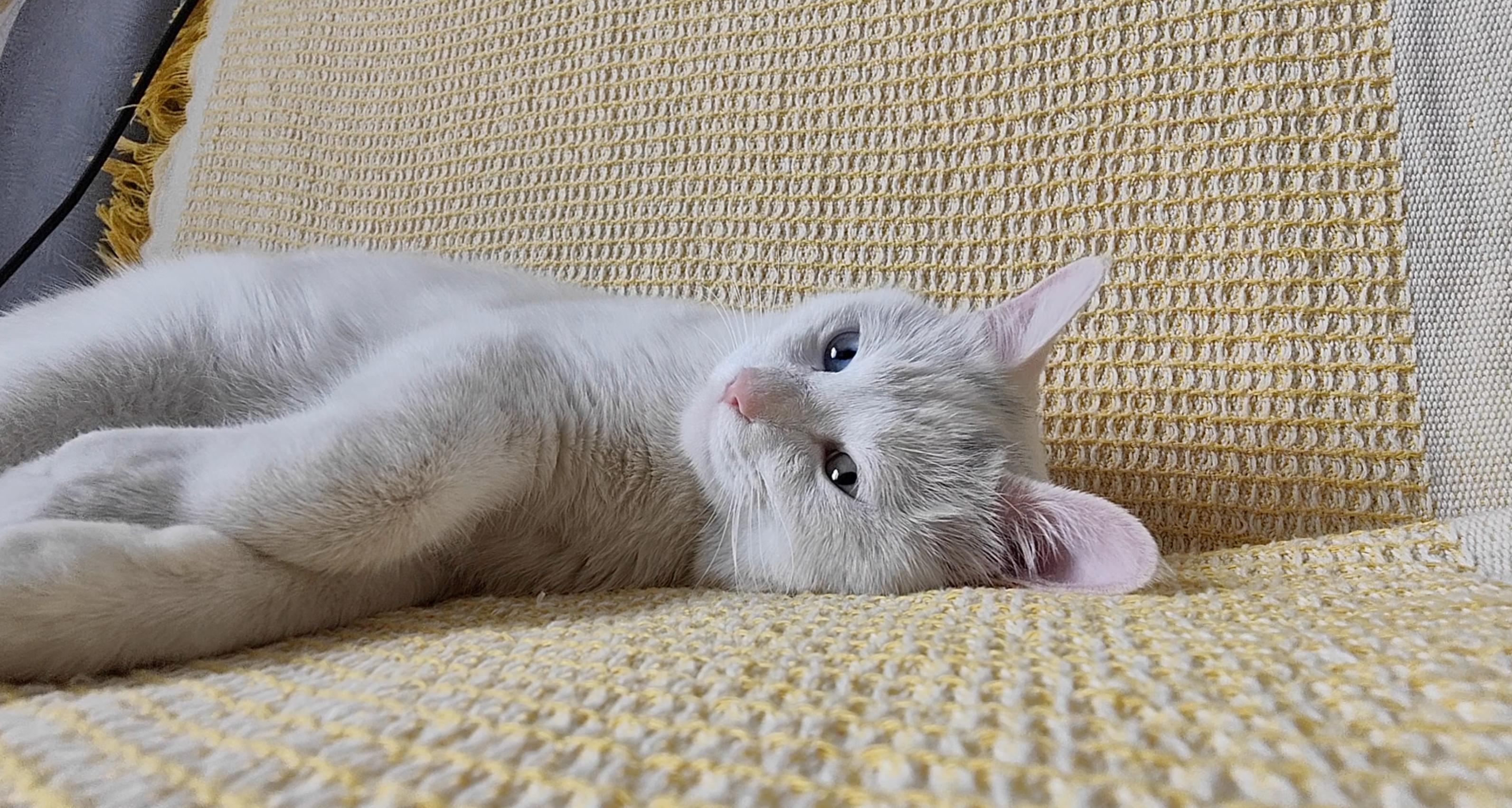 2019浦瑞克扫地机器人,浦瑞克扫地机器人怎么用教程