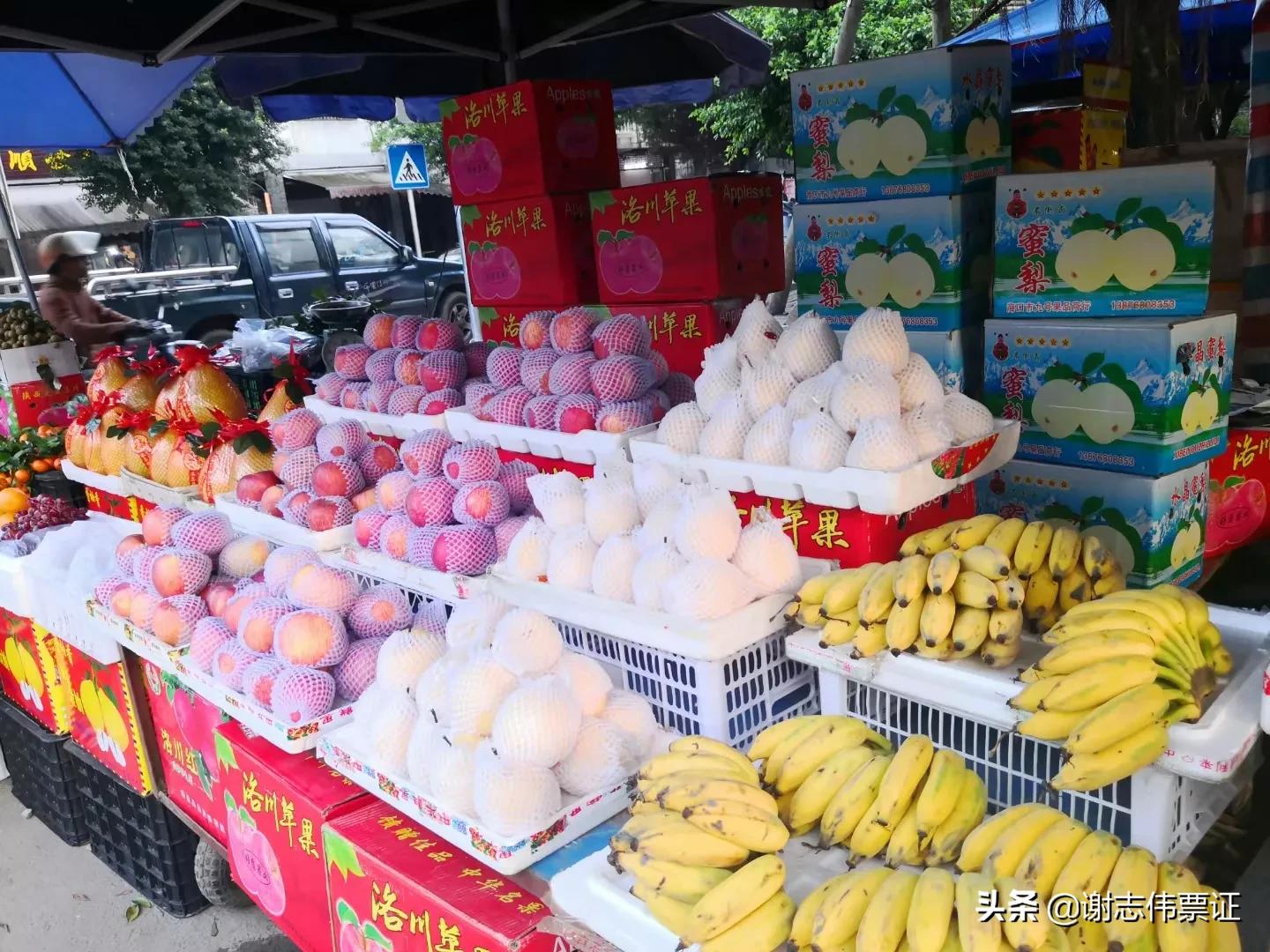 海南水果缤纷图片大全,海南的水果都有哪些带图片