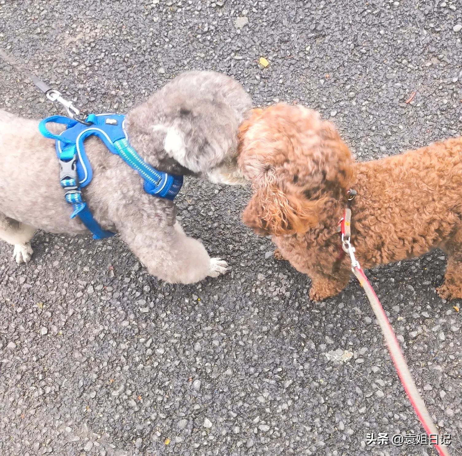 琚佸鐢熸椿鏃ヨ,琚佸鏃ヨ