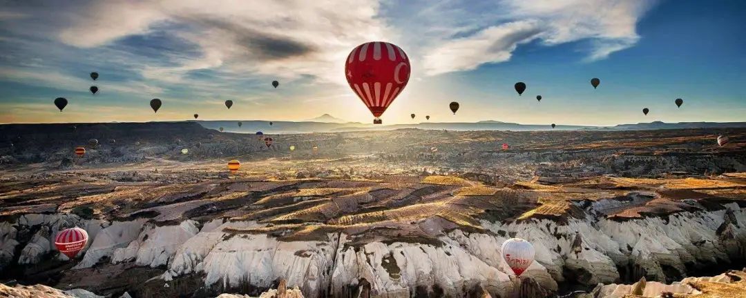 为什么中国是全球最大鸡蛋生产国,鸡蛋生产量排名
