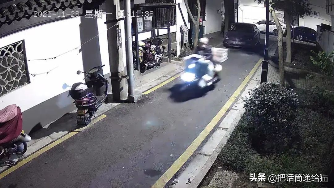 江苏偷猫事件,偷猫人被抓新闻