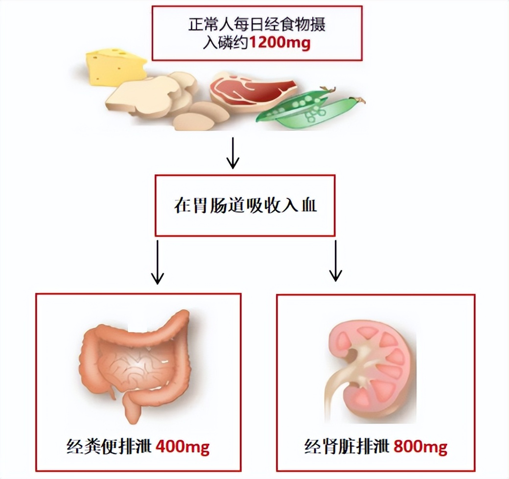 高磷血症最常见的全身症状,肾病患者钾高磷高饮食应注意什么