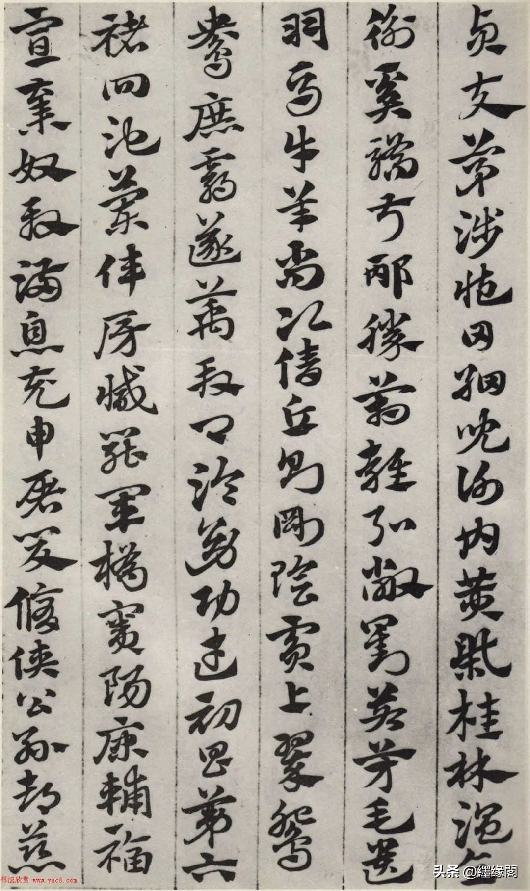 赵孟頫急就章的临摹要点,赵孟頫书札全集