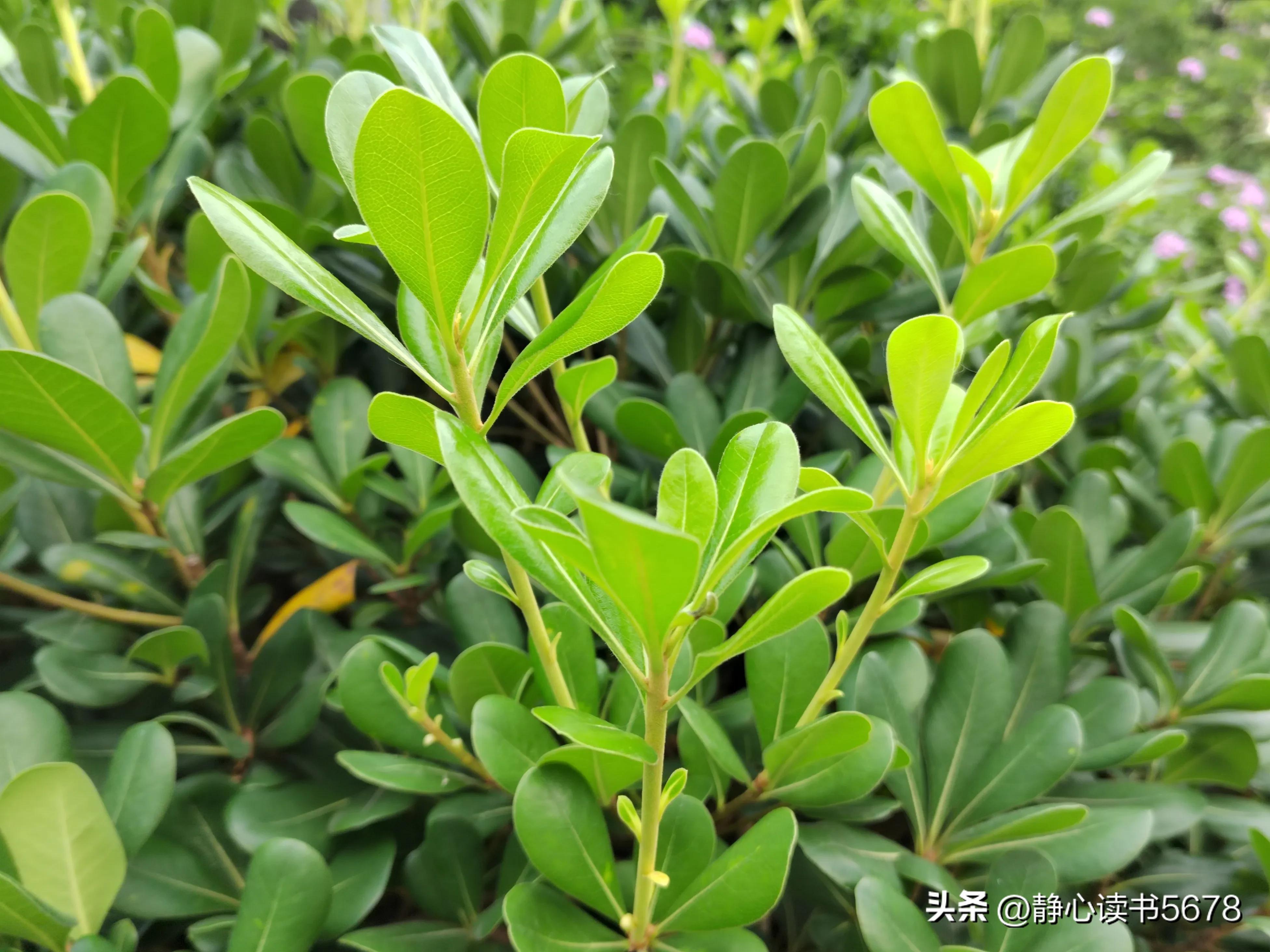 做生意悟出来一个道理,冯仑说做生意求人