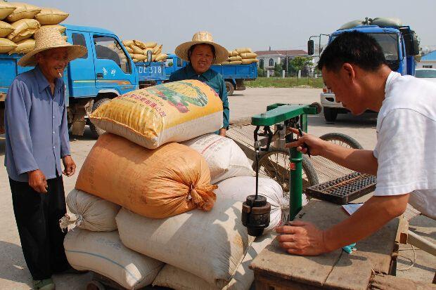 农村养殖干什么最挣钱,农村养殖哪些行业赚钱多