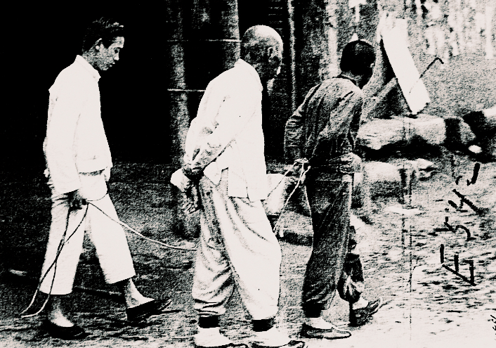 日军部队连续扫荡六个村庄,1944日本大扫荡过程