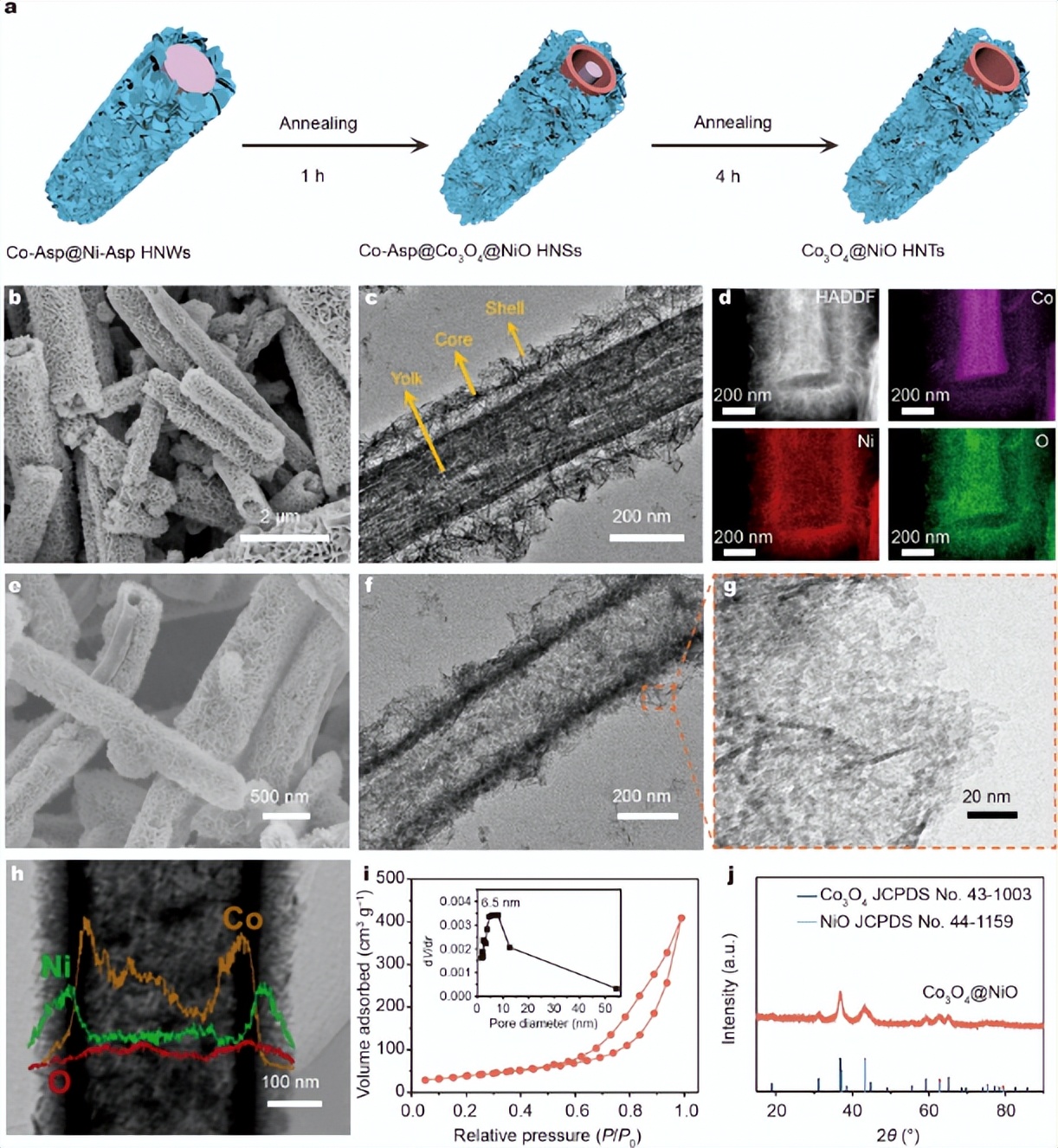 通过热重仪解构CNB树皮，是否能高效率转化为高能量密度液体燃料