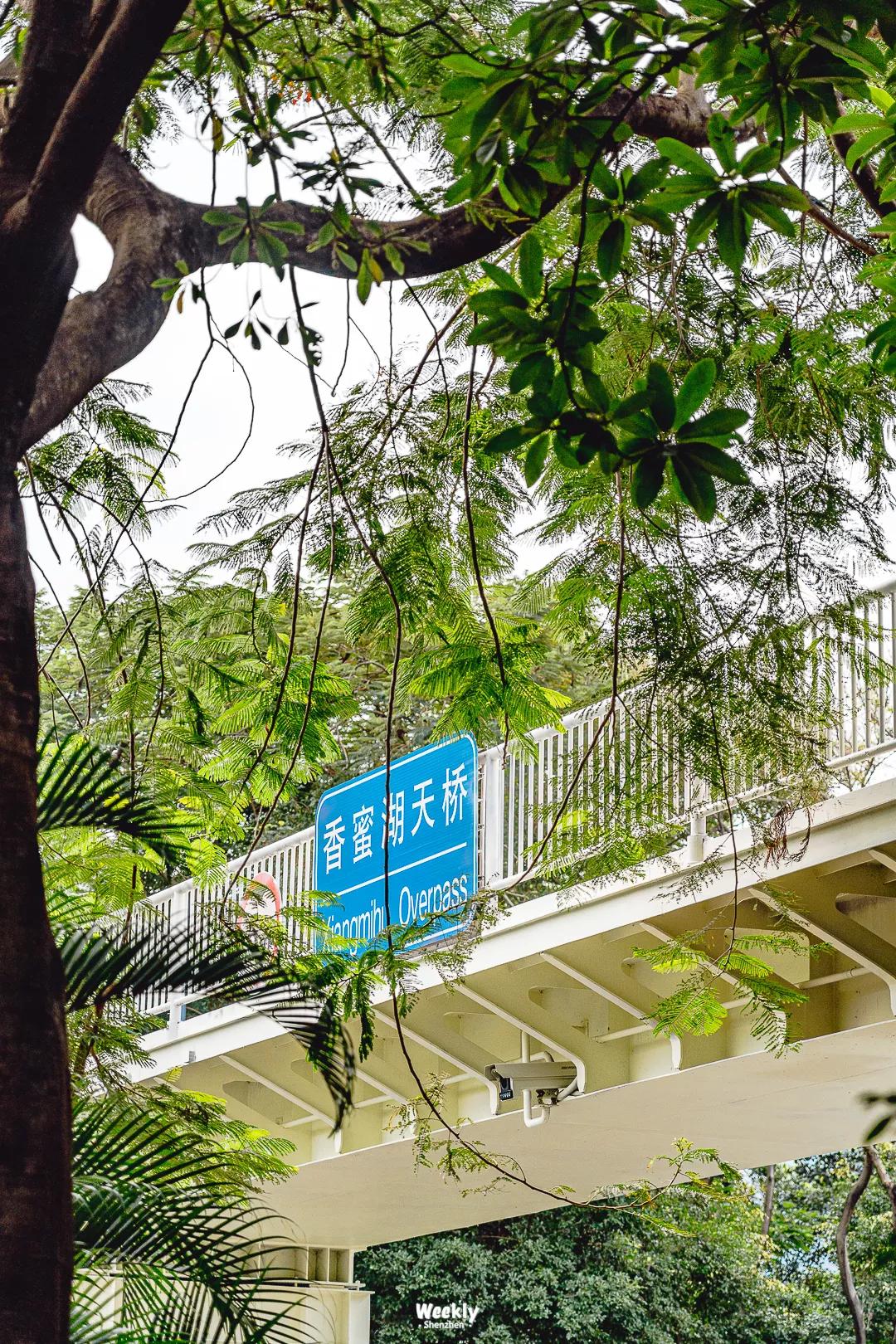 真羡慕那些住高档小区的人,真羡慕住在海边的人