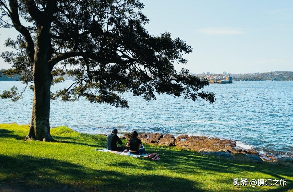出片神器|4款超好用的仿胶片app推荐