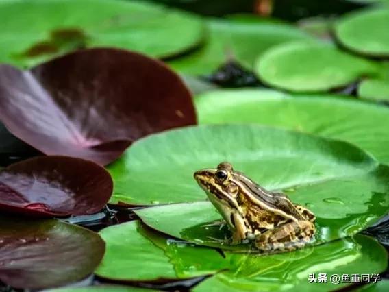 五月十一是什么日子,五月十一是吉祥日子吗
