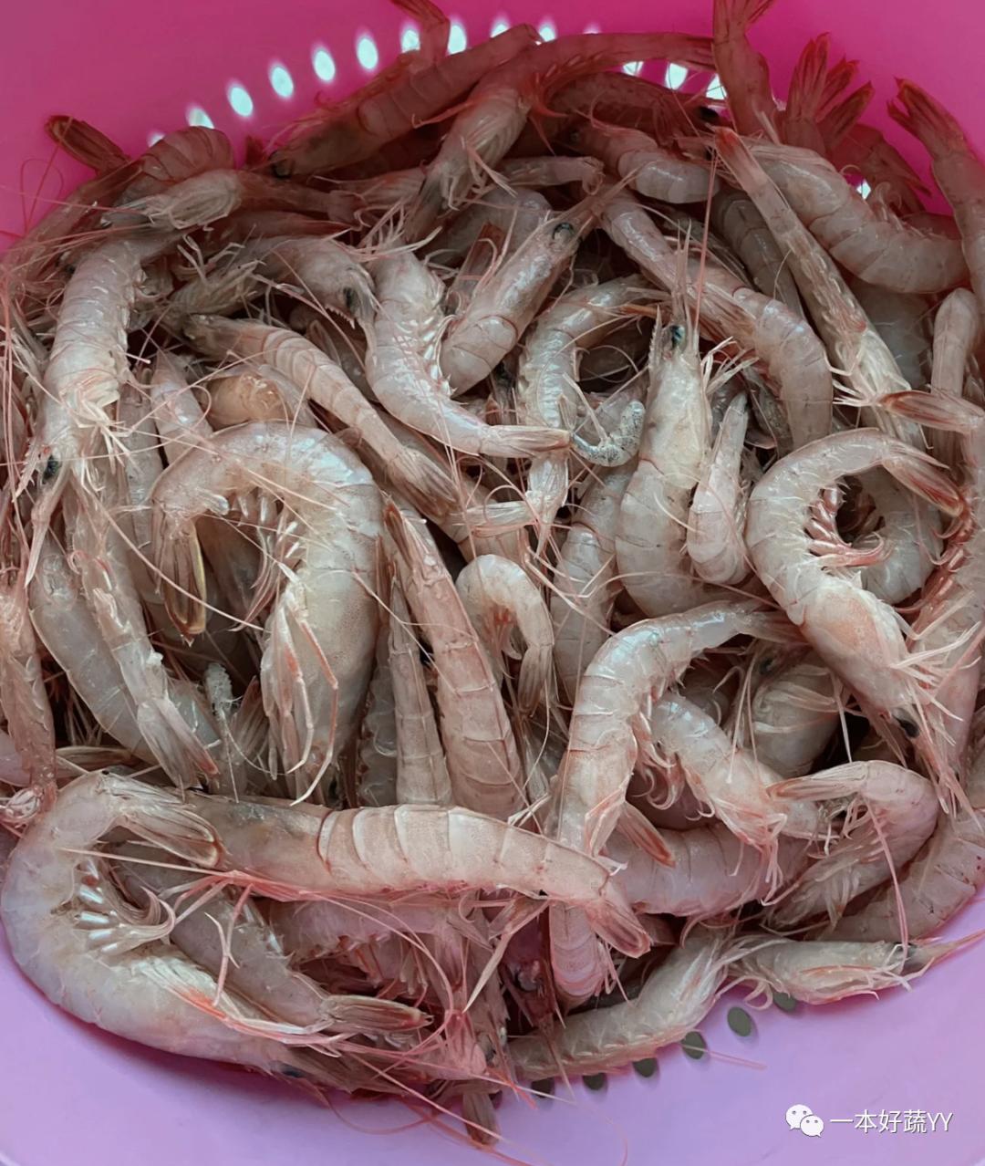 虾头能吃的部位图解,熟虾头哪里可以吃哪里不可以吃