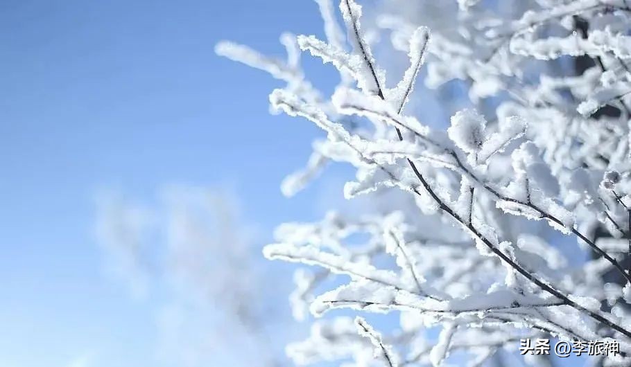 冰雪游专列,冰雪列车东北之旅