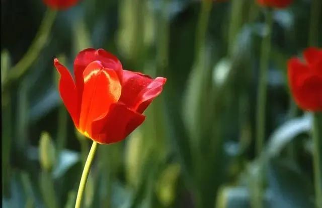 同事相互尊重彼此更珍惜,珍惜同事情谊的词句