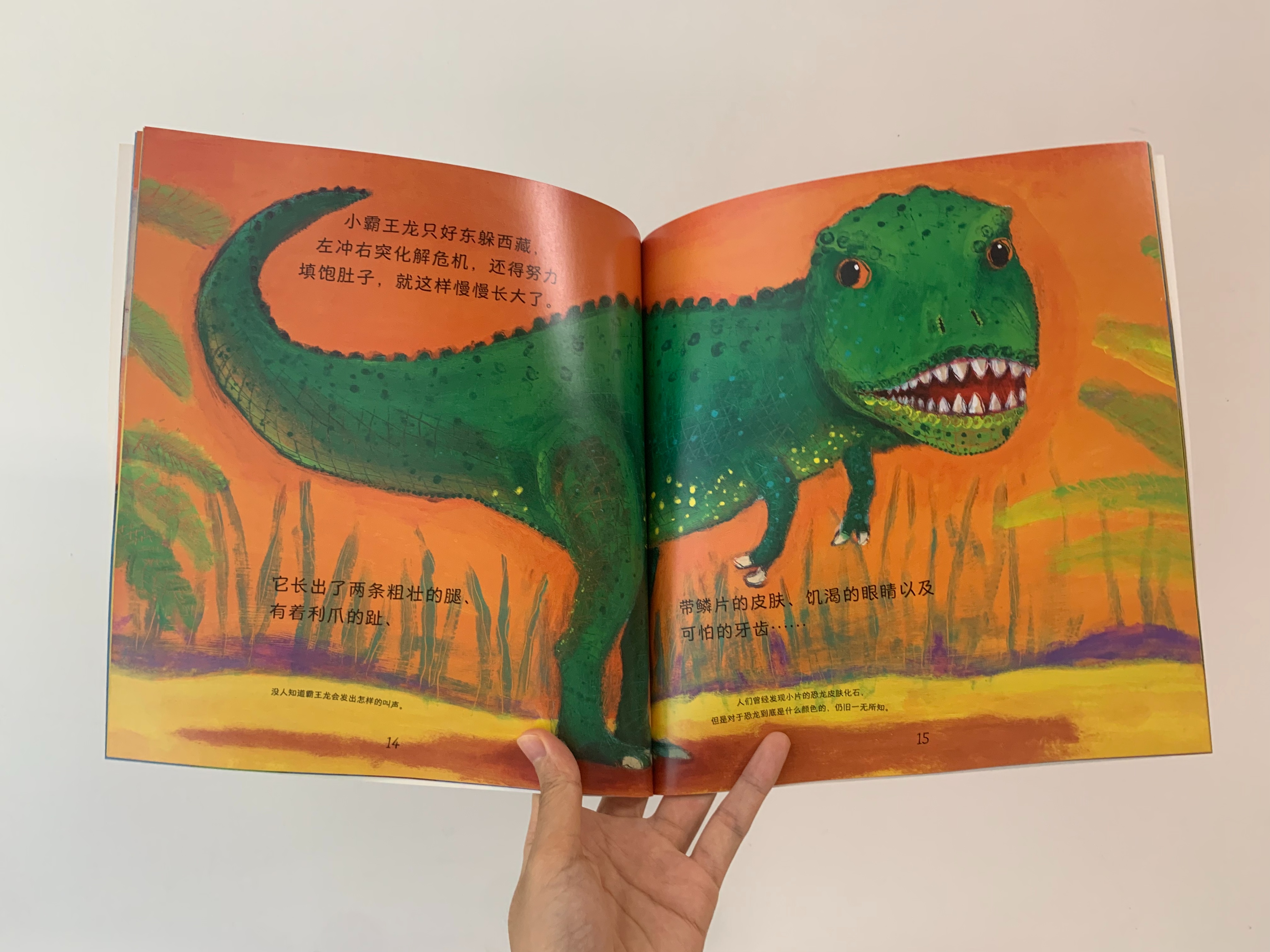 如何启发孩子观察大自然,培养孩子自然观察