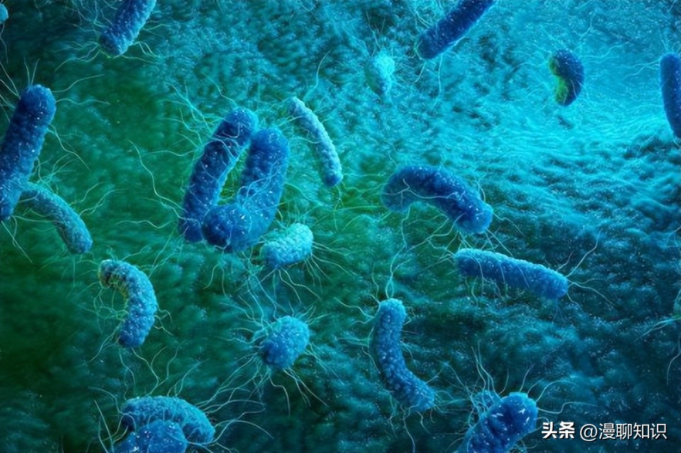 MRSA治疗新途径有哪些？关于CR-AB治疗策略有哪些