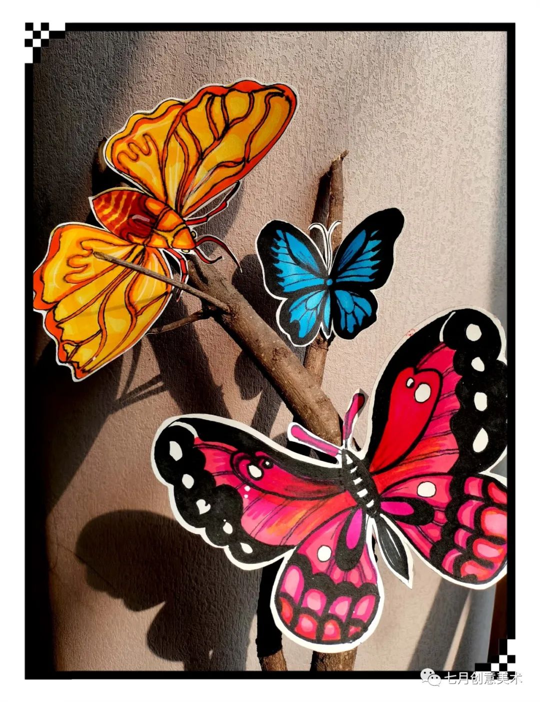 蝴蝶标本图片大全,塑封蝴蝶标本方法