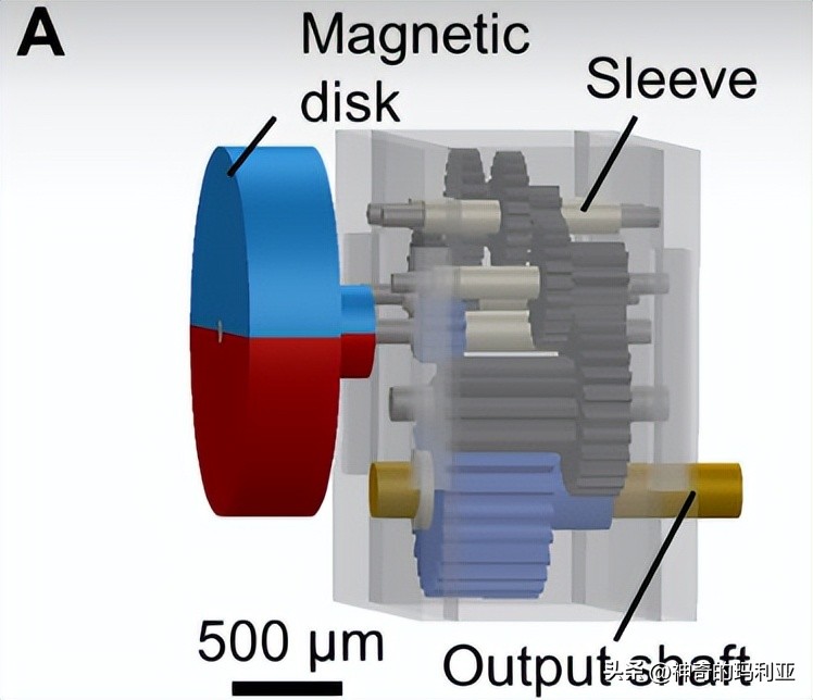 用于无线控制毫米级机器人的磁致动齿轮箱，其究竟有何作用