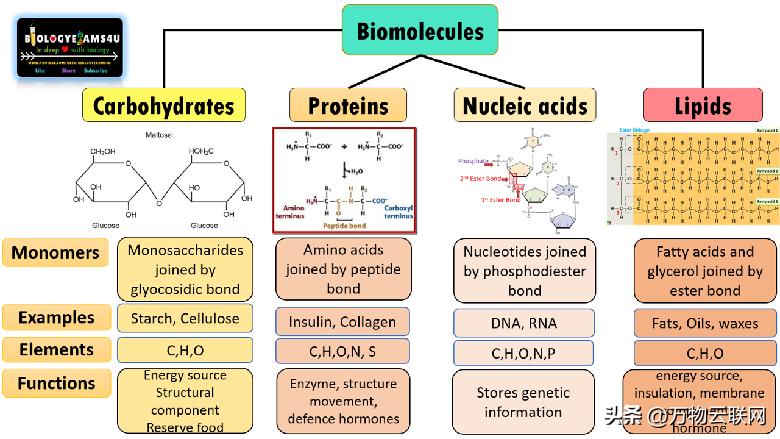 生物化学原理,生物化学入门教程