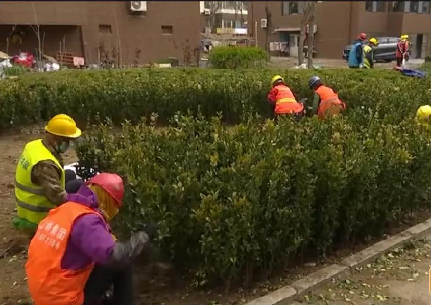 城阳旧小区改造,2025青岛城阳老旧小区改造名单