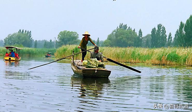 雄安新区景点免费吗,雄安新区悦容公园南苑有哪些景点