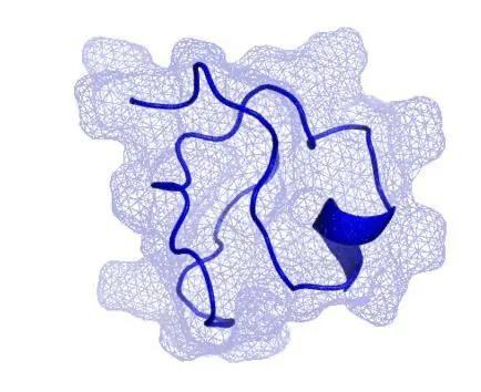 金属硫蛋白为什么可以螯合重金属,mt金属硫蛋白医美怎么使用