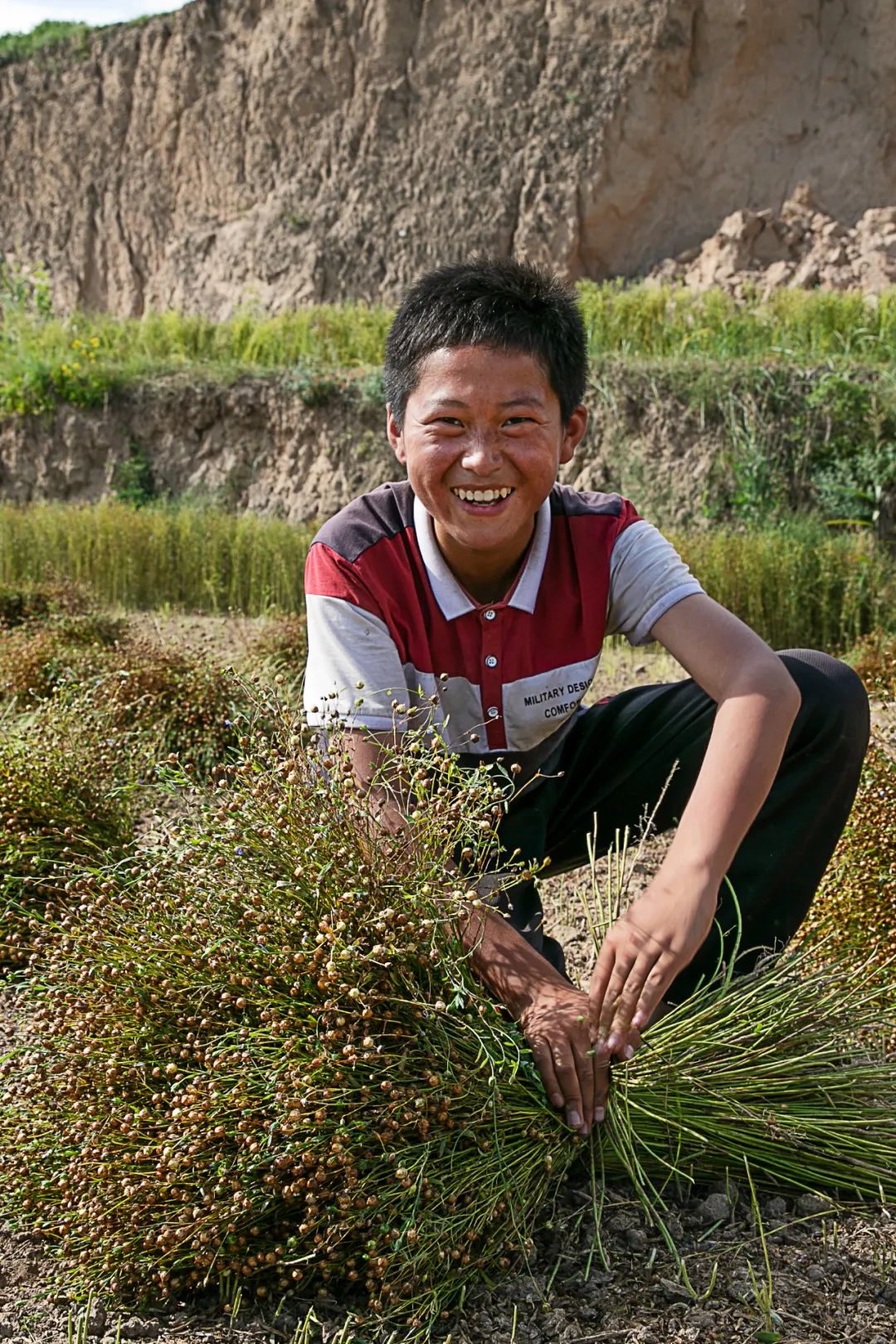 吃面大省甘肃，为什么离不开杂粮？