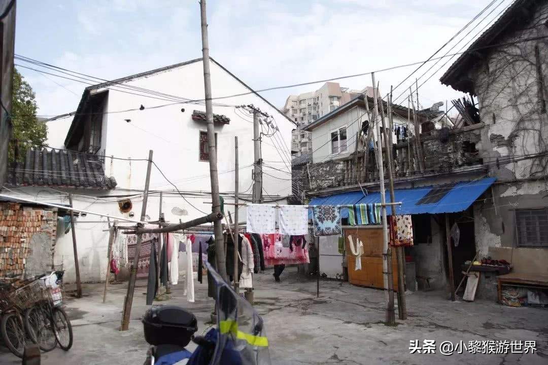 上海青浦十大旅游景区,上海有哪些旅游景点值得一去