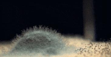 车内有霉味怎么除,车有异味除味妙招