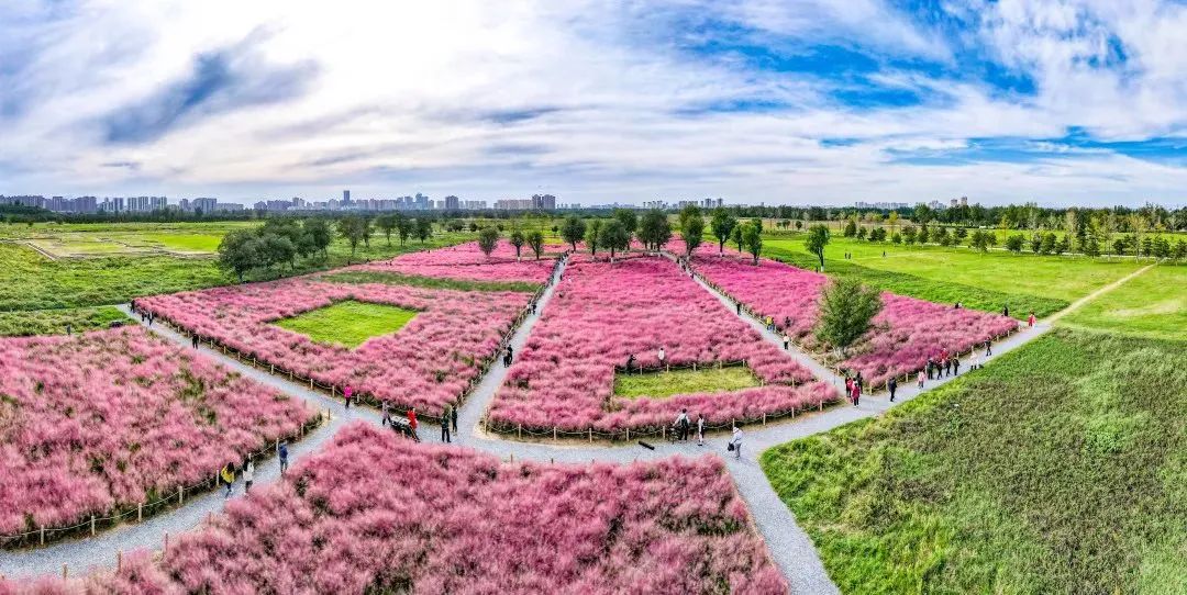 外省回渭南疫情防控最新通知,返西安疫情防控最新规定