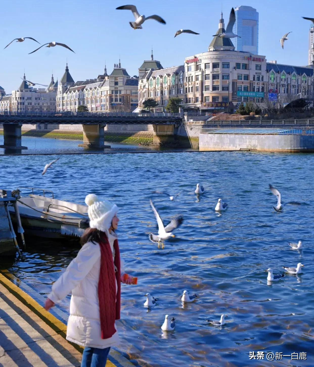 在中国最多韩国人的地方是在哪里,韩国中国人最多的地方