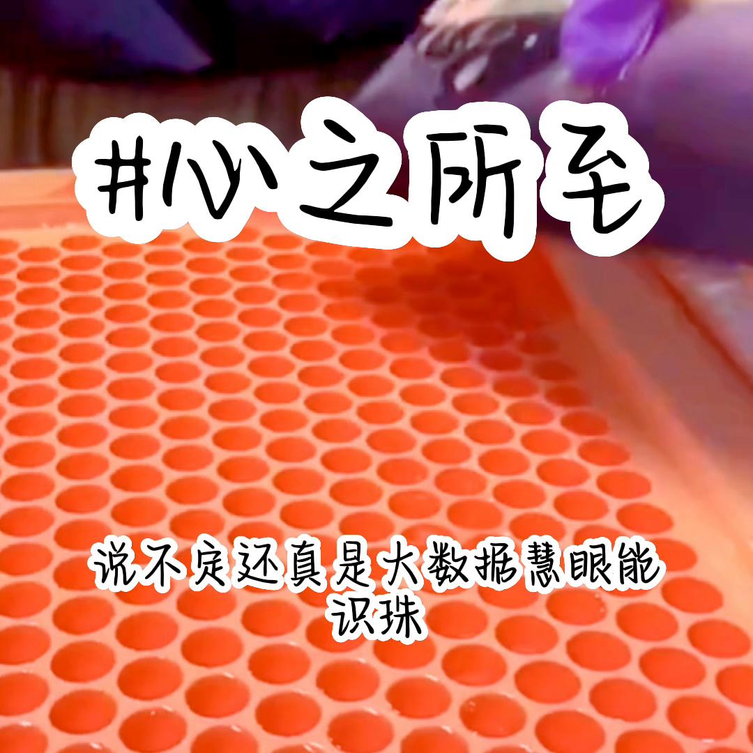 📖铭:心之所至@DOU+小助手