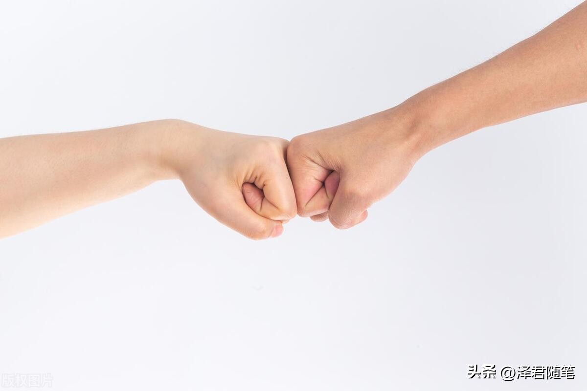 一篇文章可以一直持续收益,新手发几篇文章就能有收益