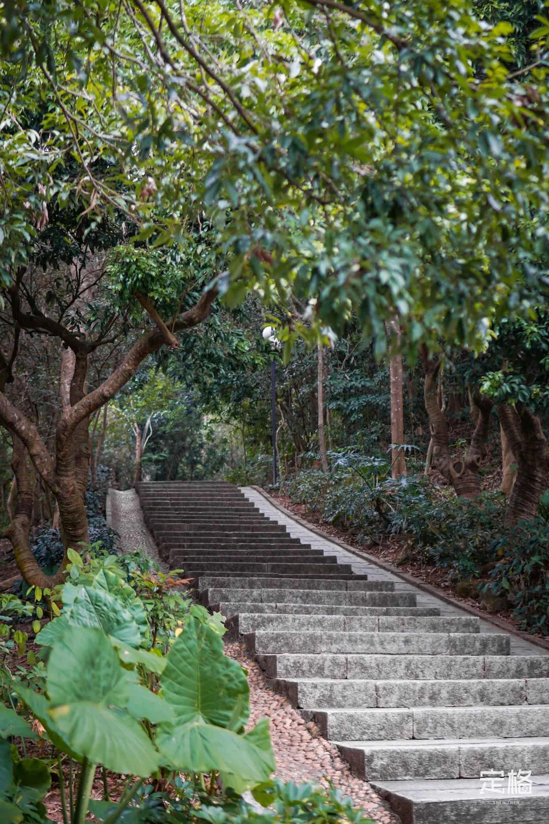 深圳地铁可以直接去的免费景点,深圳免费地铁直达景点12号线