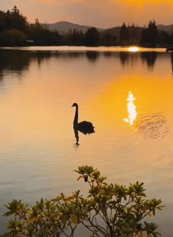 谋心者4：莫哥的罗盘不但能测死人，还能测活人，越靠近越尖叫