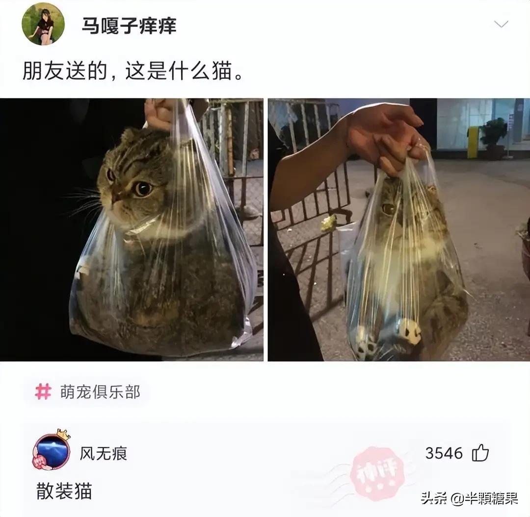 爆笑神回复原视频,爆笑神回复外卖