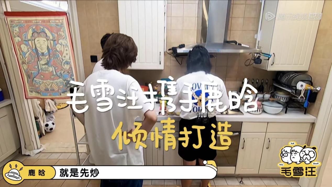 毛雪汪reaction鹿晗,鹿晗毛雪汪预告完整版