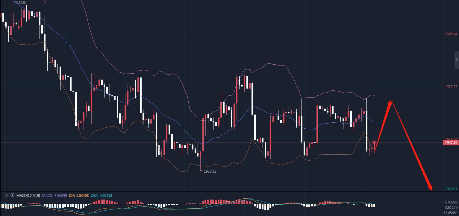 今日财经股票行情分析,今日财经金价