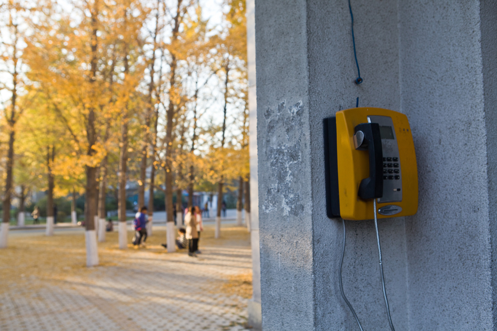 辽宁大学其实非常美，很多人都忽略了这些景色，你想来看看吗