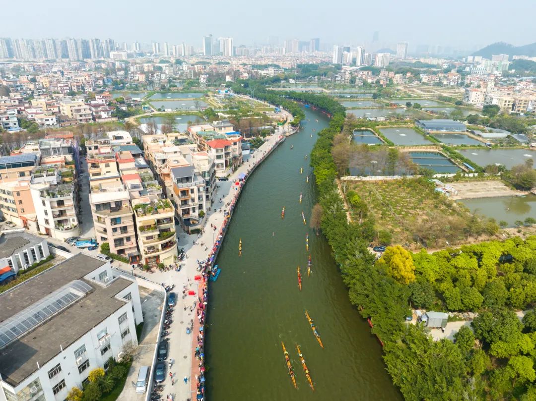瓒呯櫨涓囪浼楄鐪嬬殑姣旇禌,浣涘北椤哄痉鐚涢緳