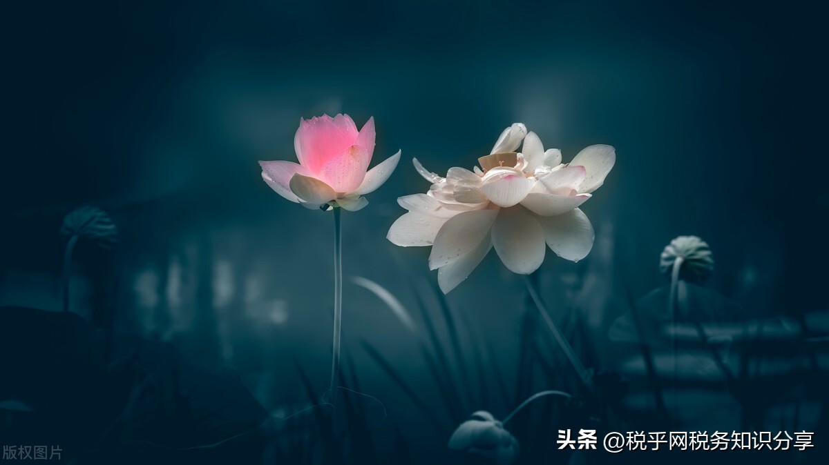 股权转让个人所得税申报指引,股权转让个人所得税网上申报流程