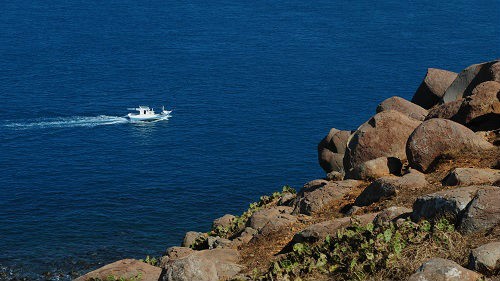 韩国战机降落高雄影响,韩国军机连续四次降落台湾